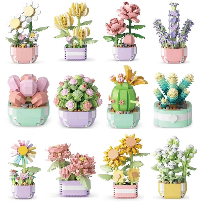 Bonsai Garden Plants - Flower Succulents Building Blocks Everlasting Flower