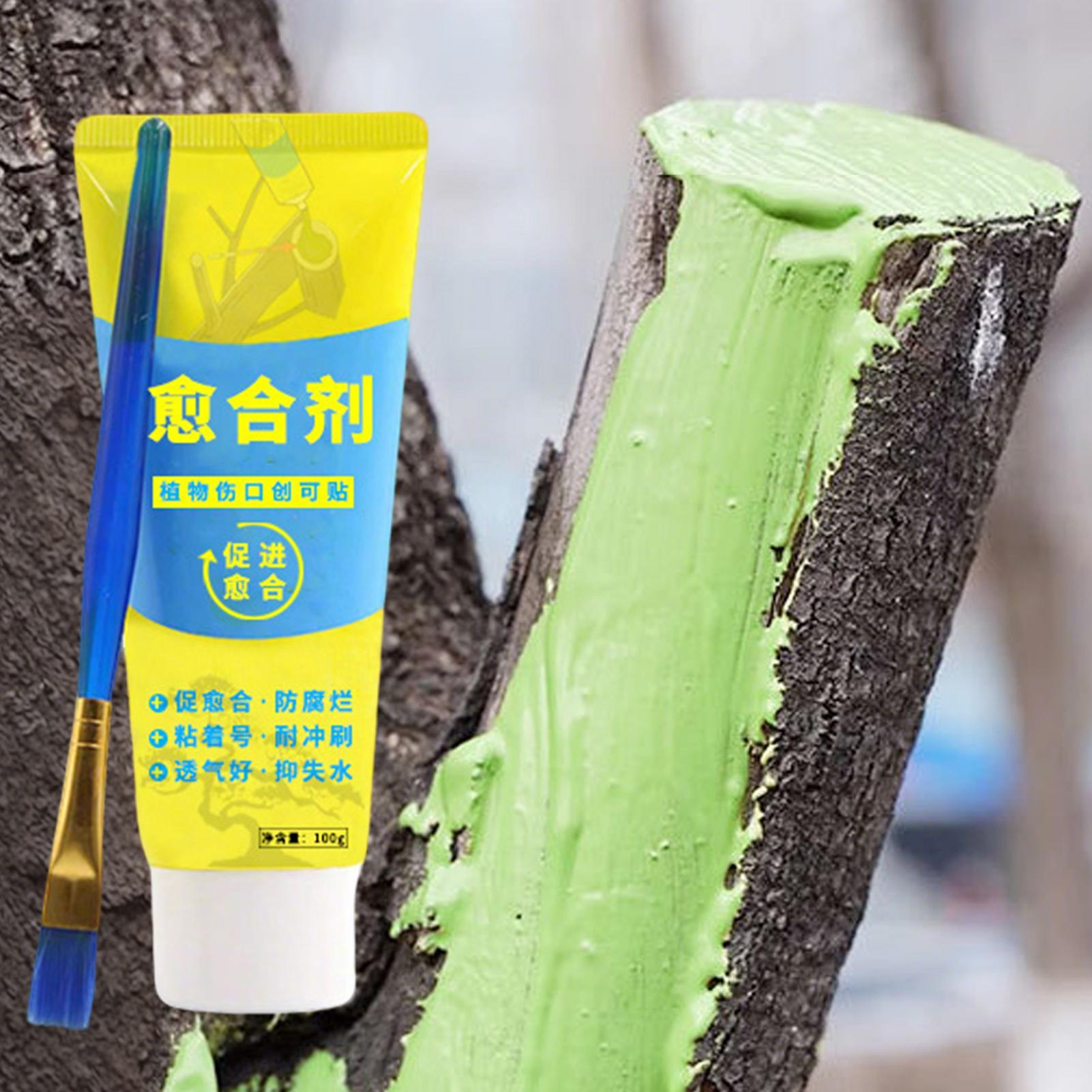 Bonsai Garden Plants - Plant Pruning Sealer Agent Plant Restoring