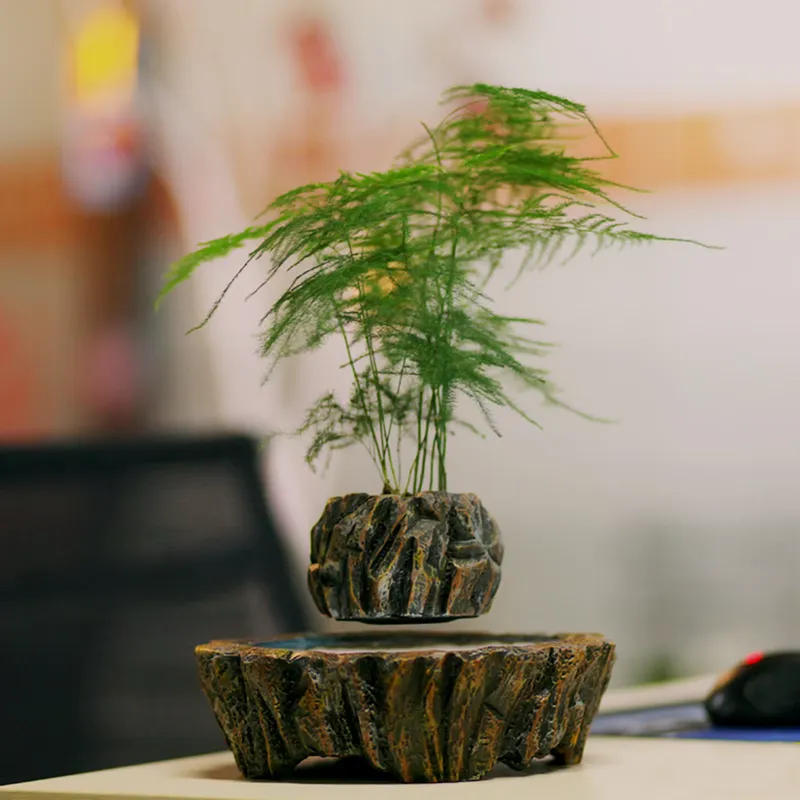 Bonsai Vertical Garden - for HCNT Electric Magnetic Levitation Floating