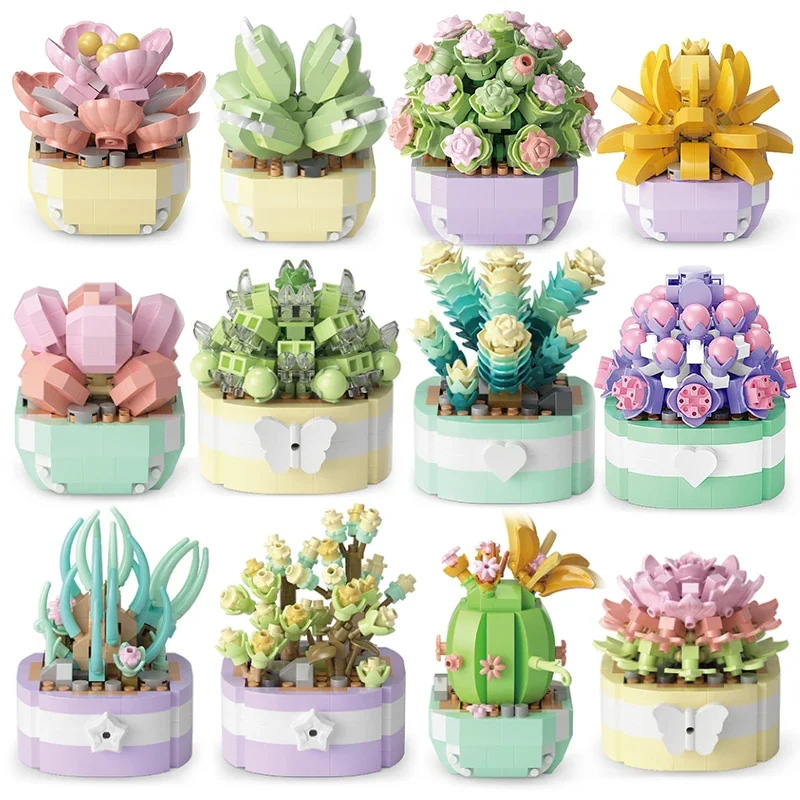 Bonsai Garden Plants - Flower Succulents Building Blocks Cactus Gypsophila