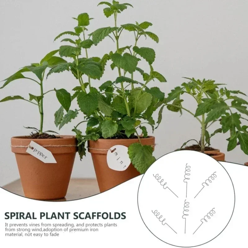 Climbing Plant Support Stake S - Bonsai Garden Plants recension och pris