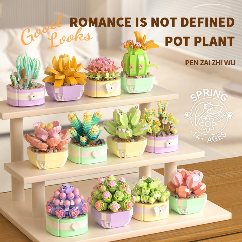 Flower Succulents Building Blo - Bonsai Garden Plants recension och pris