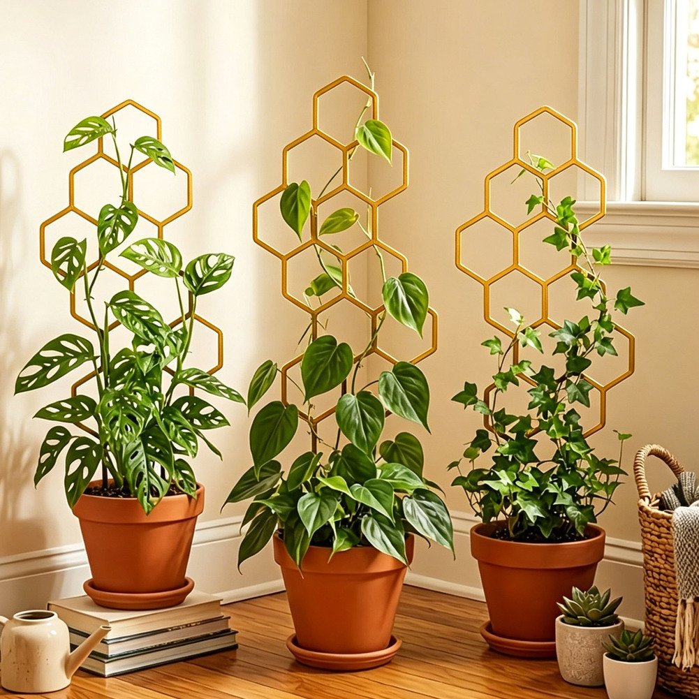 Two-Piece Hexagonal Plant Fram - Bonsai Vertical Garden recension och pris