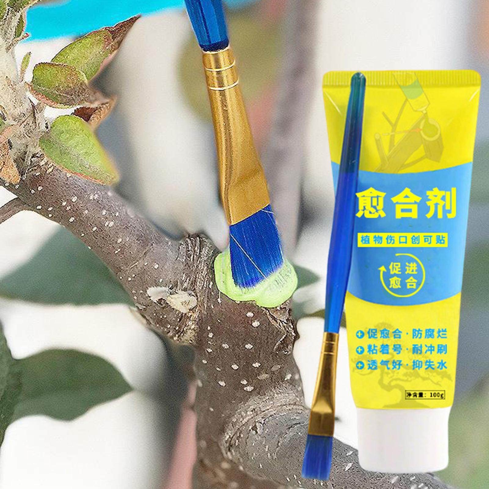 Plant Pruning Sealer Agent Pla - Bonsai Garden Plants recension och pris