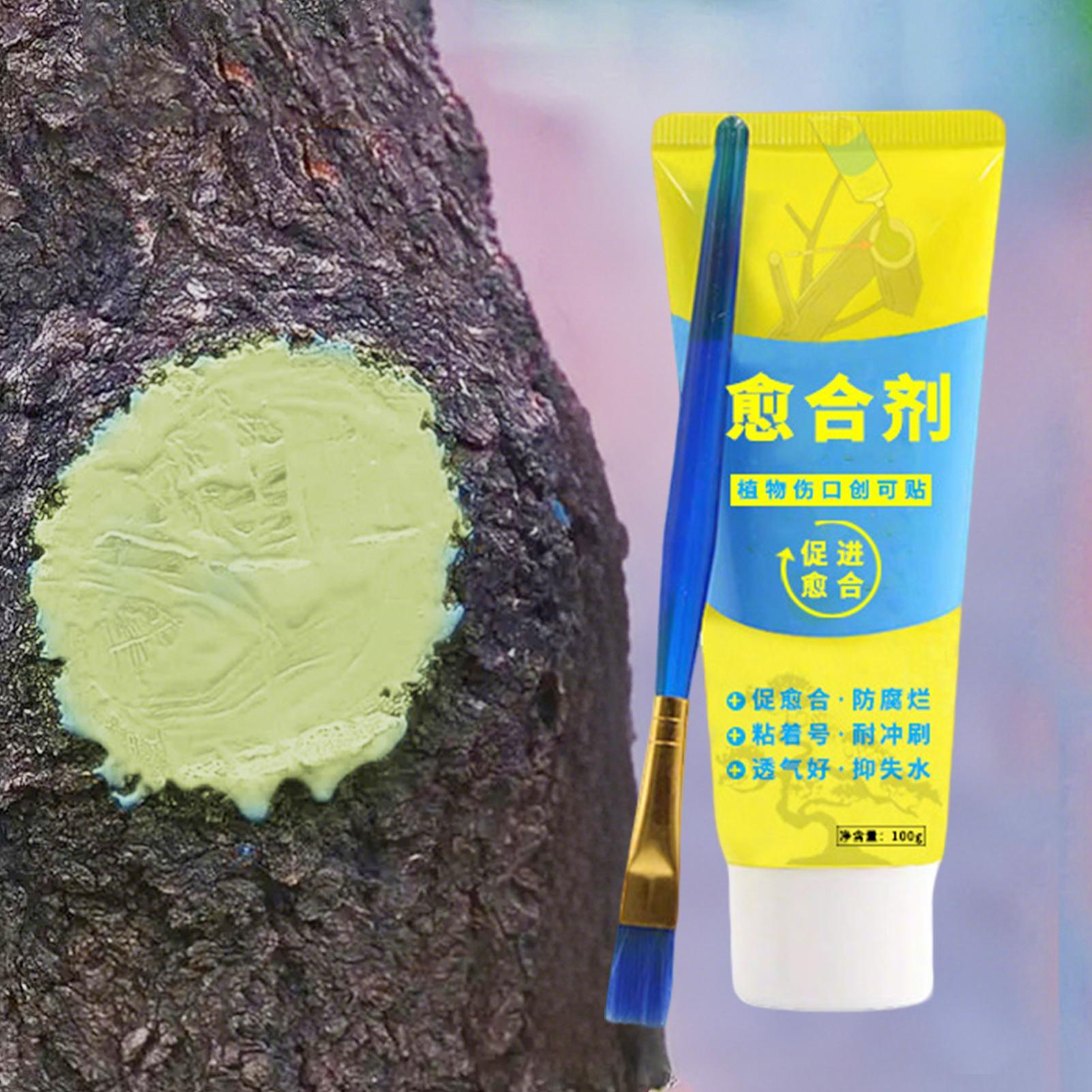 Plant Pruning Sealer Agent Pla - Bonsai Garden Plants recension och pris