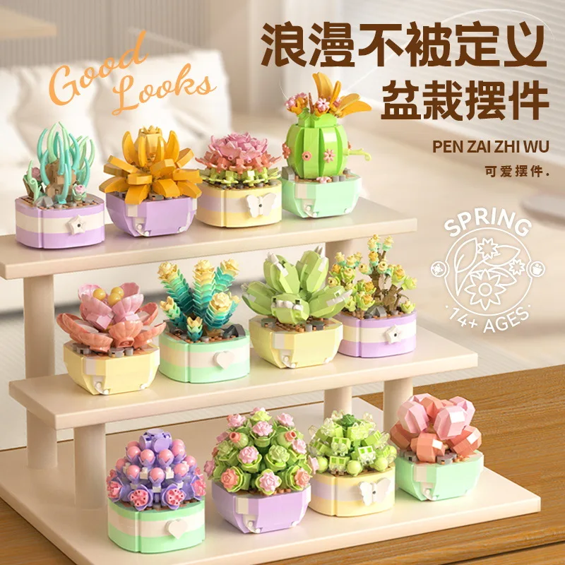 Flower Succulents Building Blo - Bonsai Garden Plants recension och pris