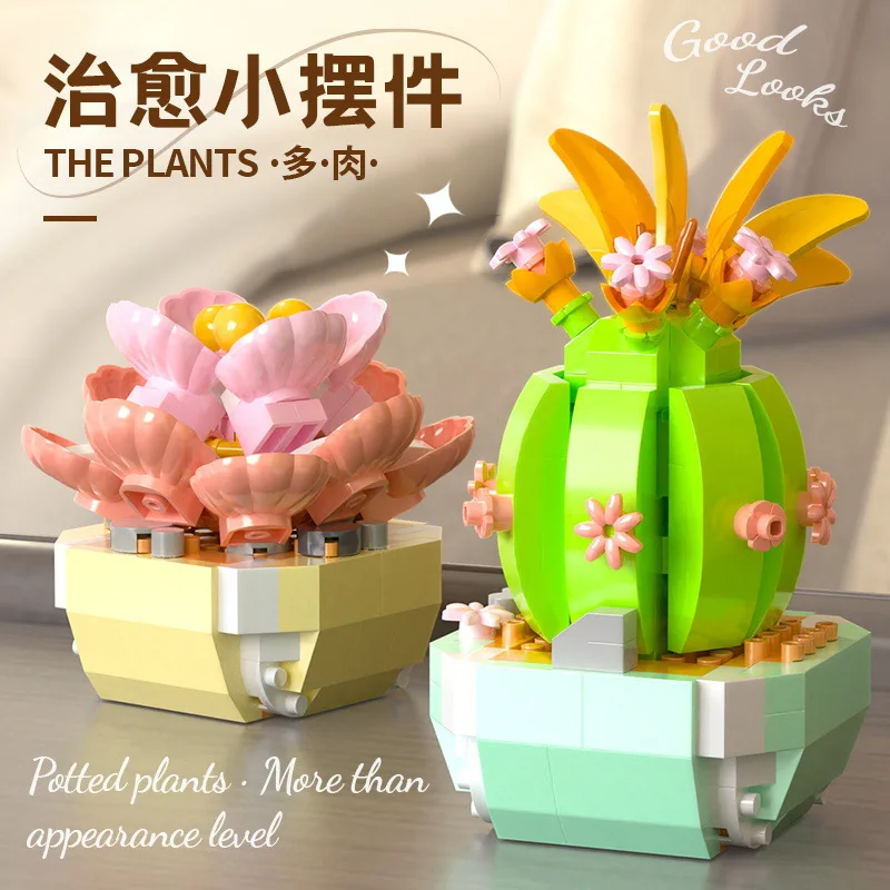 Flower Succulents Building Blo - Bonsai Garden Plants recension och pris
