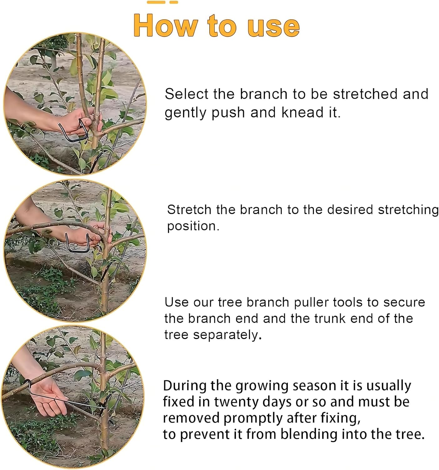 Adjustable Fruit Tree Branch S - Bonsai Garden Plants recension och pris