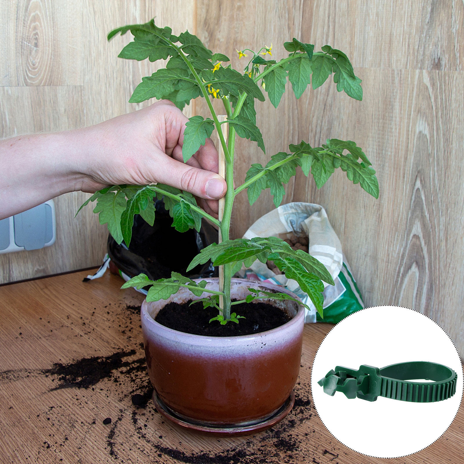 20Pcs Vine Fixing Buckle Garde - Bonsai Garden Plants recension och pris