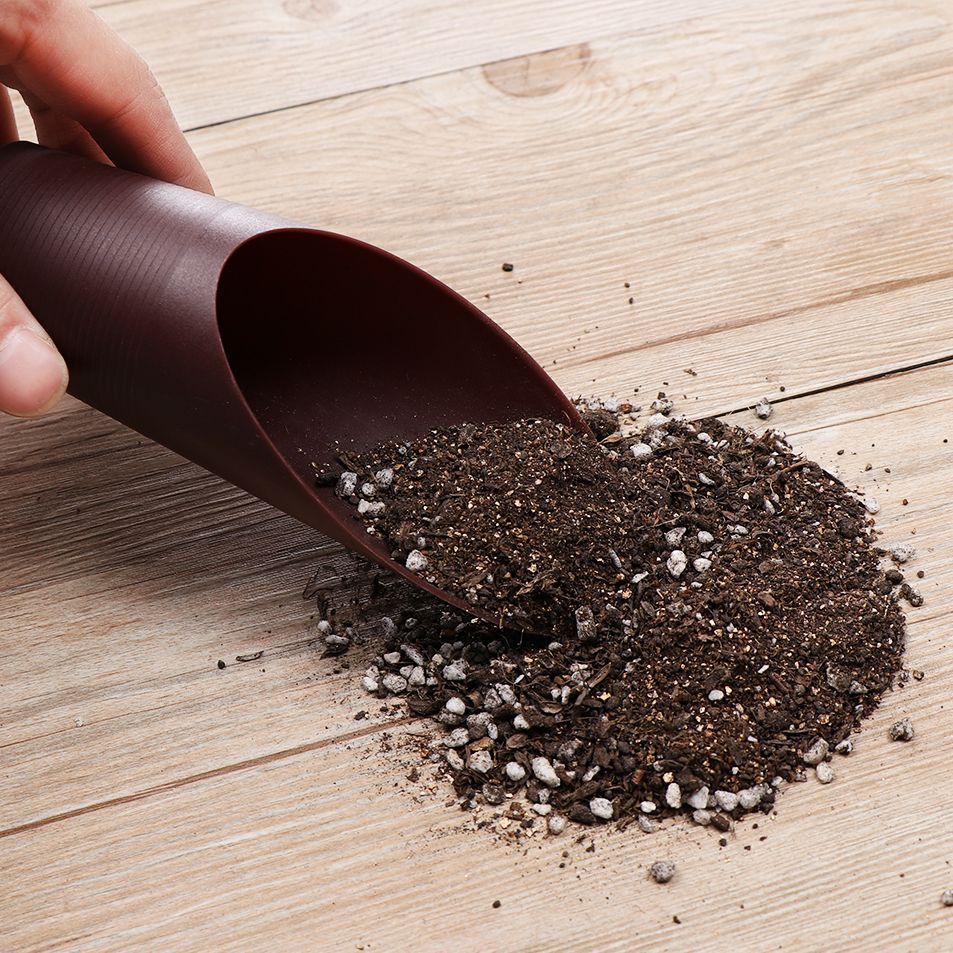 1PC Plastic Soil Shovel Cup Fo - Bonsai Garden Plants recension och pris